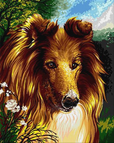 Lassie
