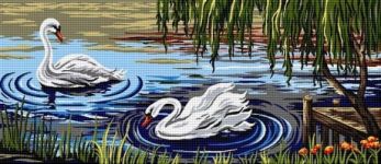Lebede pe lac