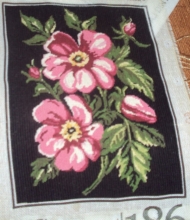 Flori