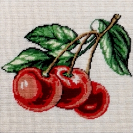 FRUCTE