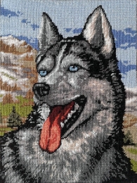 Goblen Husky