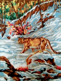 PUMA